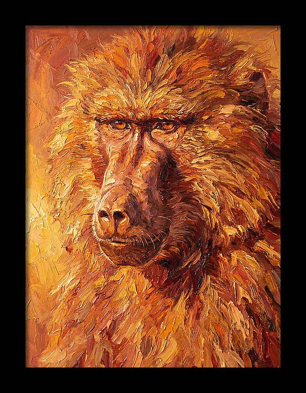 Regal Baboon Closeup