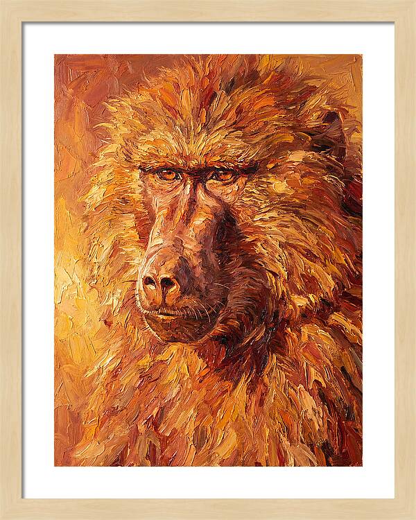 Regal Baboon Closeup