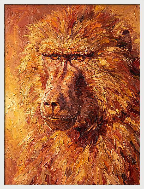 Regal Baboon Closeup