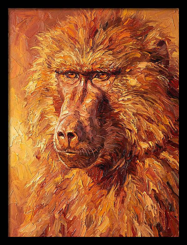 Regal Baboon Closeup
