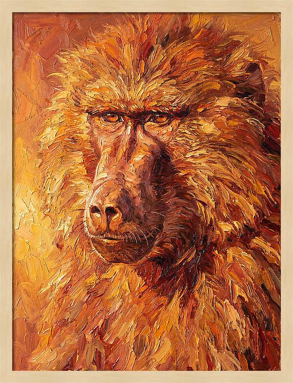 Regal Baboon Closeup