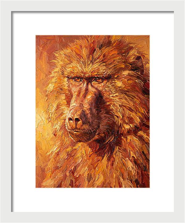Regal Baboon Closeup
