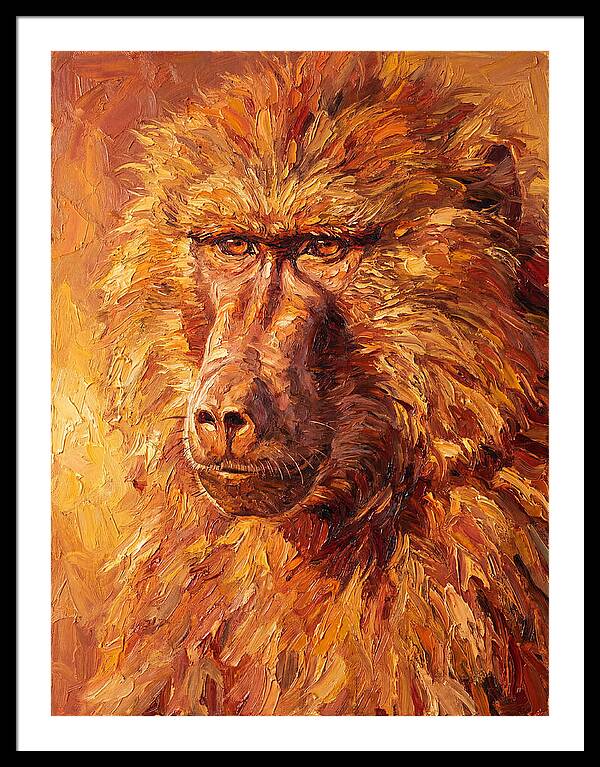 Regal Baboon Closeup