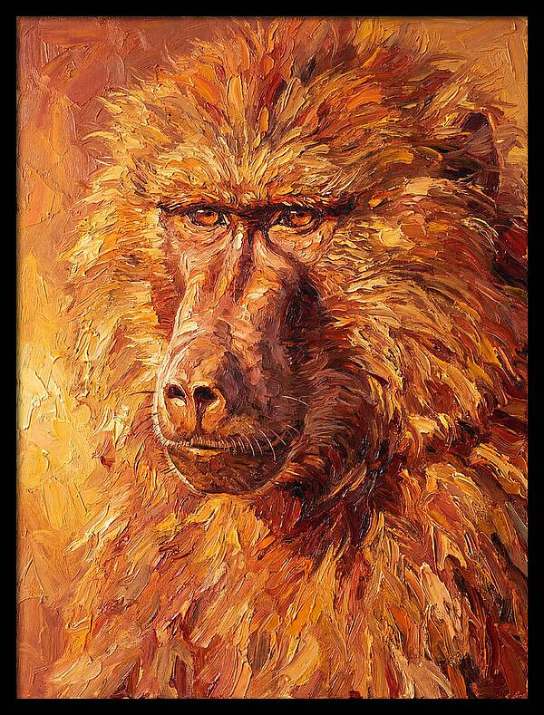 Regal Baboon Closeup