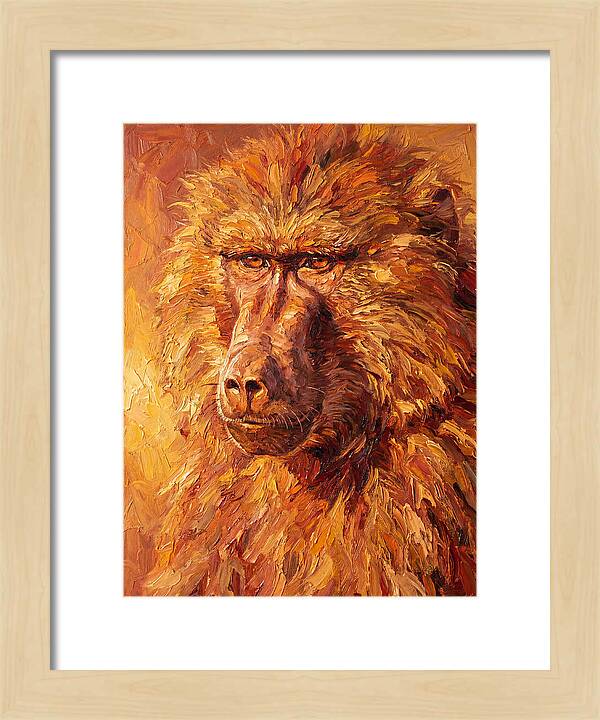 Regal Baboon Closeup