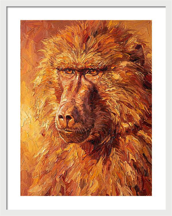 Regal Baboon Closeup