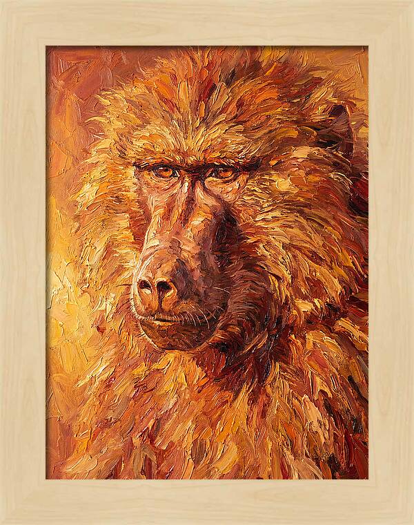 Regal Baboon Closeup