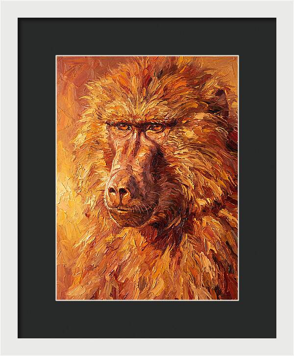 Regal Baboon Closeup