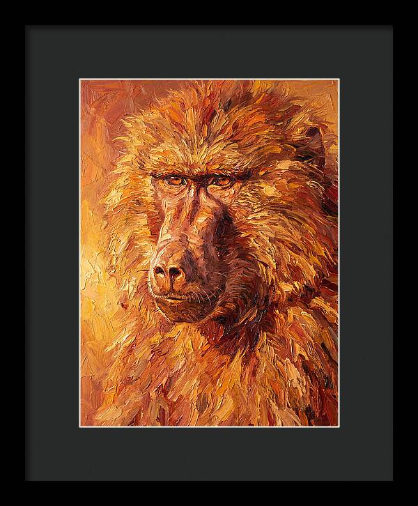 Regal Baboon Closeup