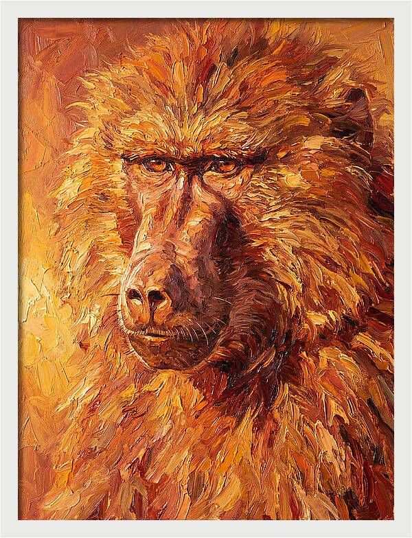 Regal Baboon Closeup