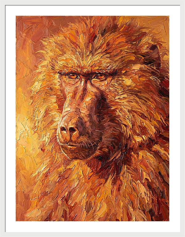 Regal Baboon Closeup