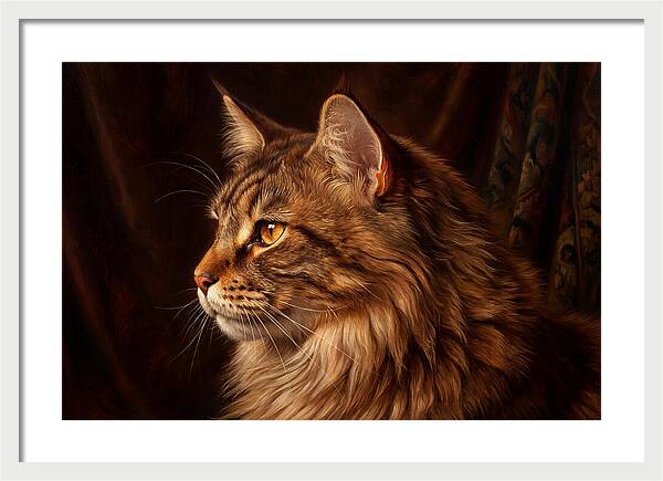 Regal Maine Coon Presence