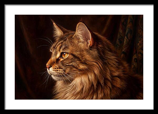 Regal Maine Coon Presence