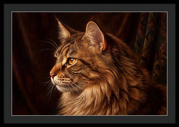 Regal Maine Coon Presence