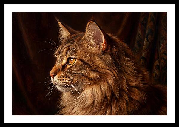 Regal Maine Coon Presence