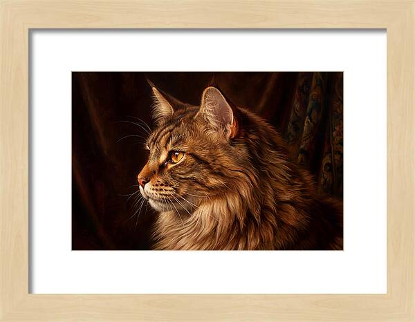 Regal Maine Coon Presence