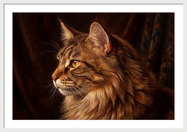Regal Maine Coon Presence