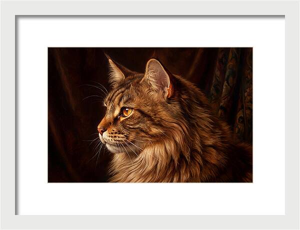 Regal Maine Coon Presence