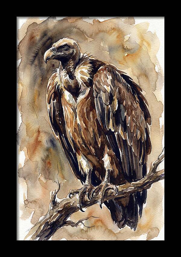 Regal Vulture Observation
