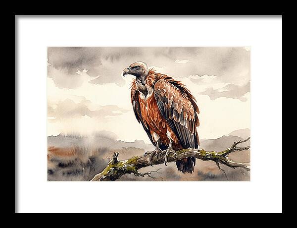 Regal Vulture Resting