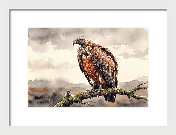 Regal Vulture Resting