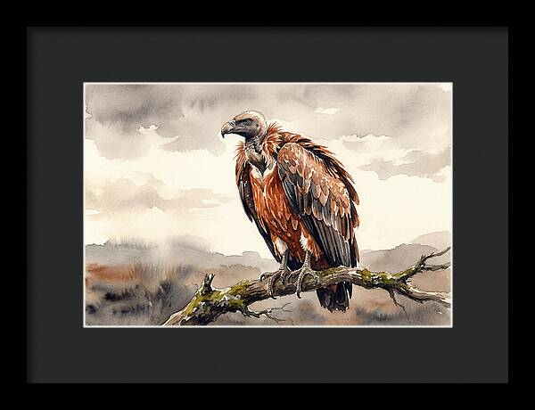 Regal Vulture Resting