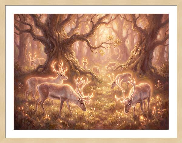 Reindeer In Enchanted Forest