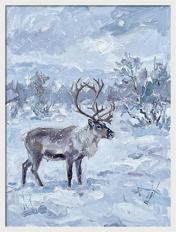 Reindeer In Winter Wonderland