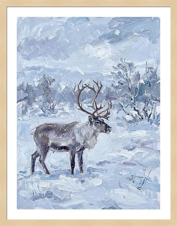 Reindeer In Winter Wonderland