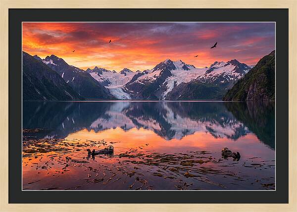 Resurrection Bay Reflections