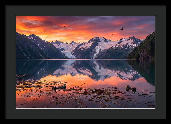 Resurrection Bay Reflections
