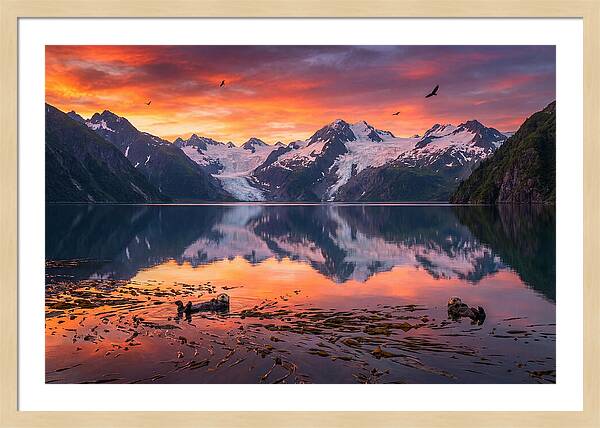 Resurrection Bay Reflections