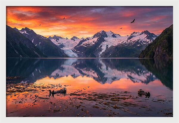 Resurrection Bay Reflections