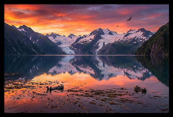Resurrection Bay Reflections