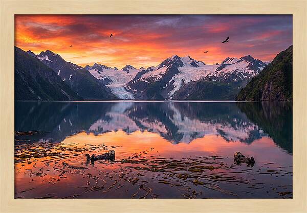 Resurrection Bay Reflections