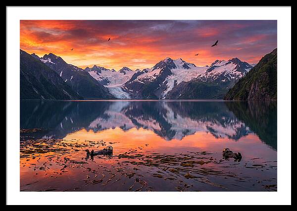 Resurrection Bay Reflections