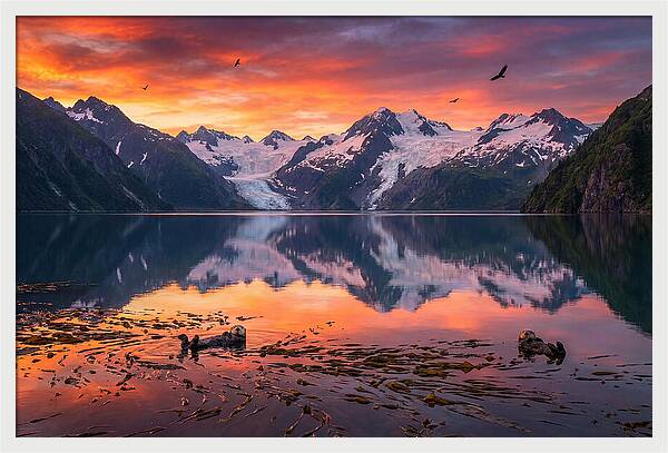 Resurrection Bay Reflections