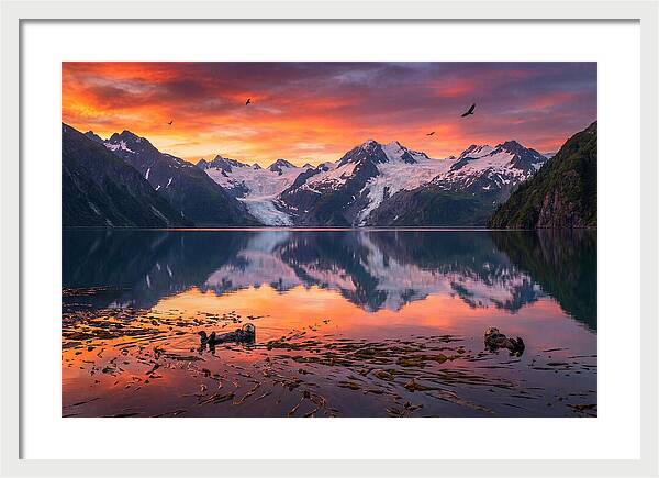 Resurrection Bay Reflections