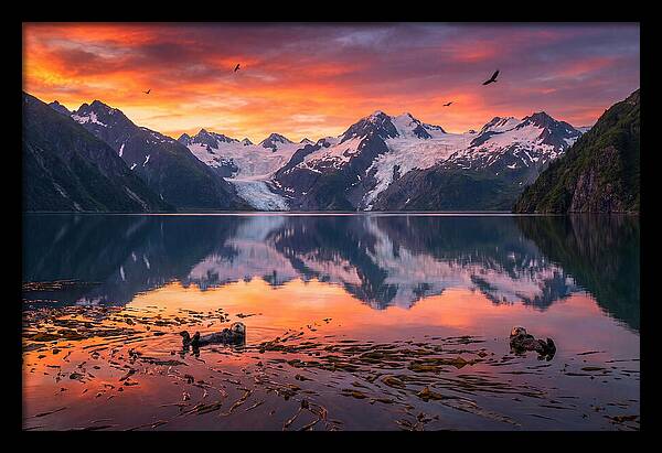 Resurrection Bay Reflections