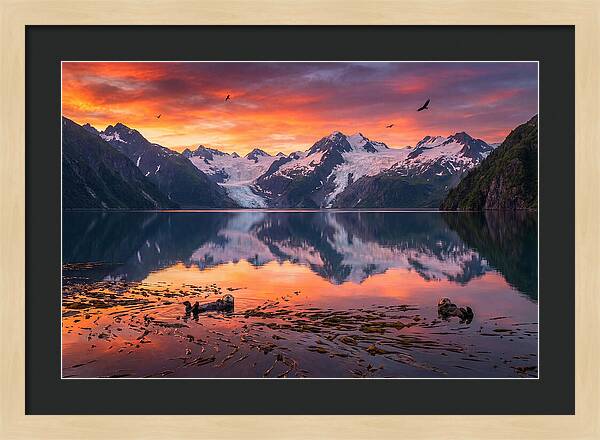 Resurrection Bay Reflections