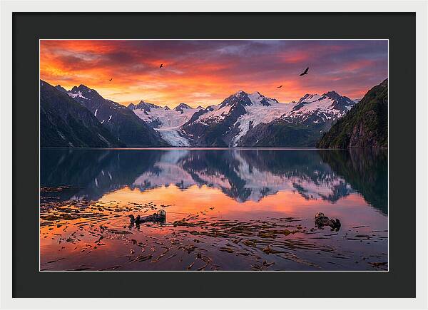 Resurrection Bay Reflections