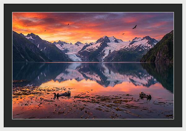 Resurrection Bay Reflections