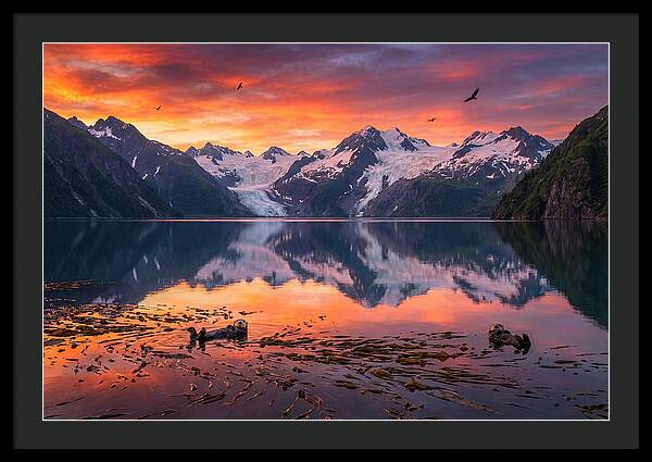 Resurrection Bay Reflections