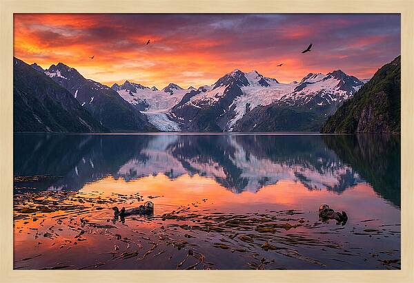 Resurrection Bay Reflections