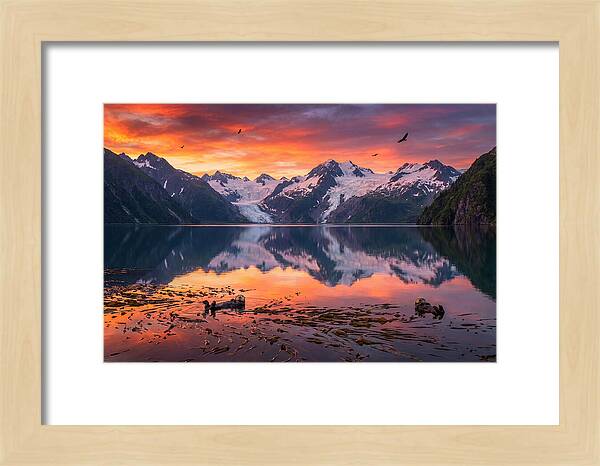 Resurrection Bay Reflections