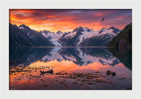 Resurrection Bay Reflections