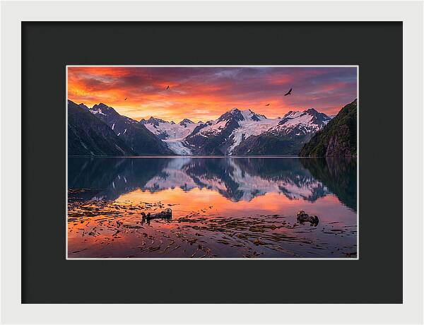 Resurrection Bay Reflections