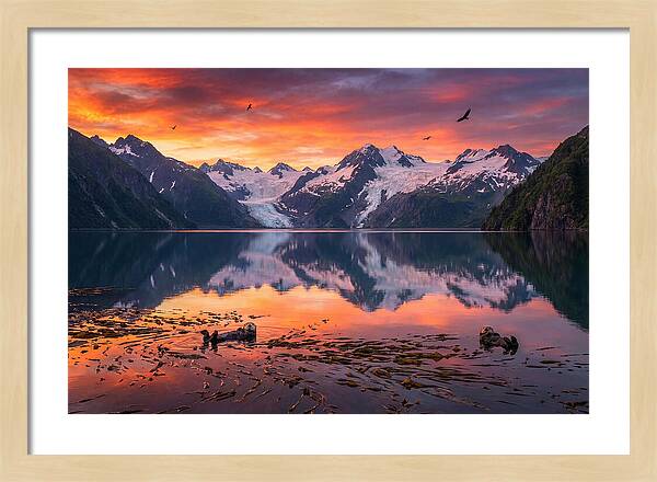 Resurrection Bay Reflections