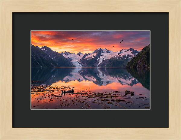 Resurrection Bay Reflections