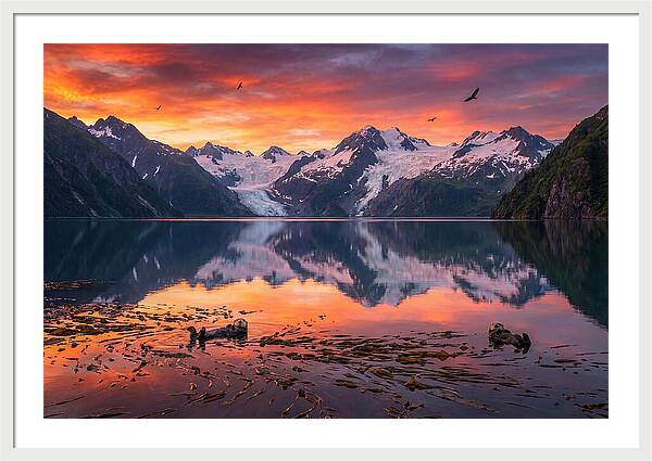 Resurrection Bay Reflections